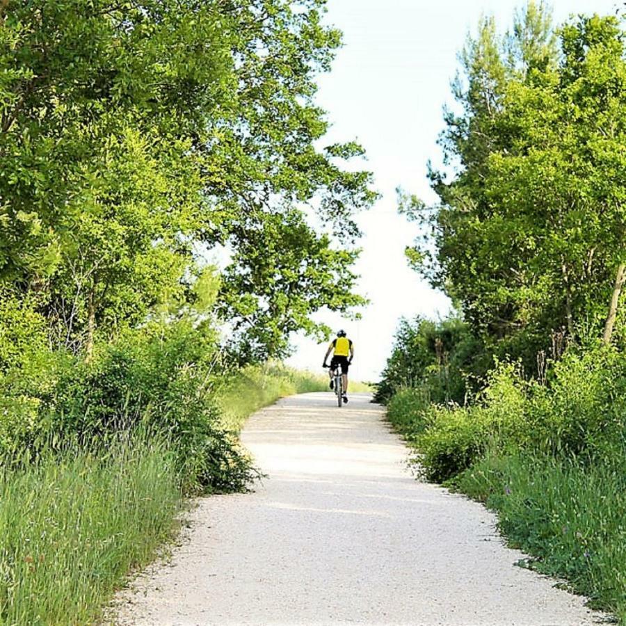 Willa Trulli Francesca Ciclovia Locorotondo Zewnętrze zdjęcie